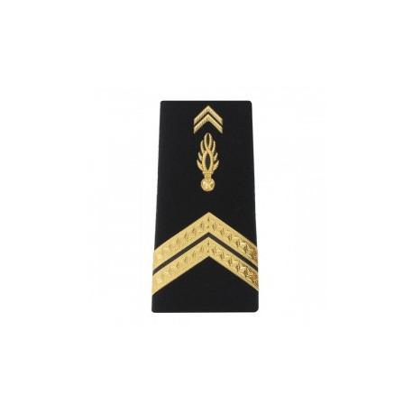 FOURREAU RIGIDE MOBILE CARRIERE GENDARME