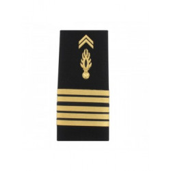 FOURREAU RIGIDE MOBILE COLONEL