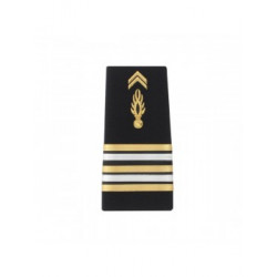 FOURREAU RIGIDE MOBILE LIEUTENANT COLONEL