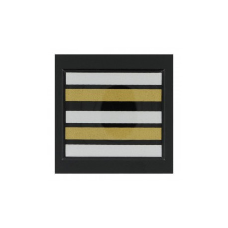 Grade 5 x 5 cm RESINE LIEUTENANT COLONEL