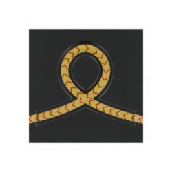 Grade 5 x 5 cm RESINE ELEVE OFFICIER