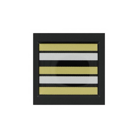 Grade 5 x 5 cm RESINE LIEUTENANT COLONEL MOBILE