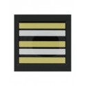 Grade 5 x 5 cm RESINE LIEUTENANT COLONEL MOBILE