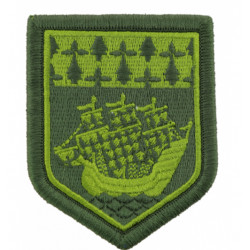 Ecusson Pays de La Loire basse visibilté vert
