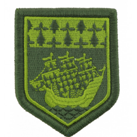 Ecusson Pays de La Loire basse visibilté vert
