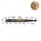 BATON ASP BOUTON POUSSOIR