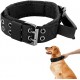 COLLIER POIGNE GD CHIEN