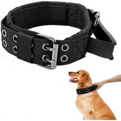 COLLIER POIGNE GD CHIEN