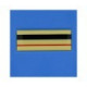GARDE RESINE PM- BRIGADIER CHEF PRINCIPAL