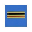 GARDE RESINE PM- BRIGADIER CHEF PRINCIPAL