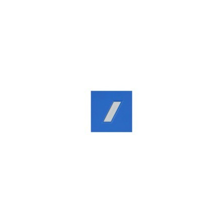GRADE RESINE PM - GARDIEN STAGIAIRE