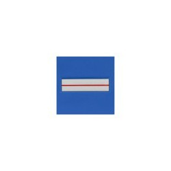 GRADE SOUPLE PM - BRIGADIER CHEF