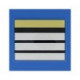 GRADE SOUPLE PM - DIRECTEUR STAGIAIRE