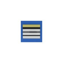 GRADE SOUPLE PM - DIRECTEUR STAGIAIRE