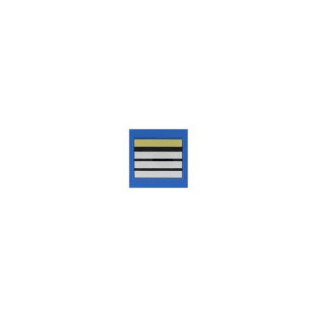 GRADE SOUPLE PM - DIRECTEUR STAGIAIRE