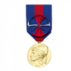 Service Militaire Volontaire Bronze Doré avec Rosette