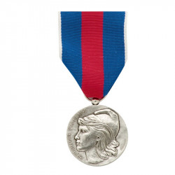 Service Militaire Volontaire Bronze Argenté